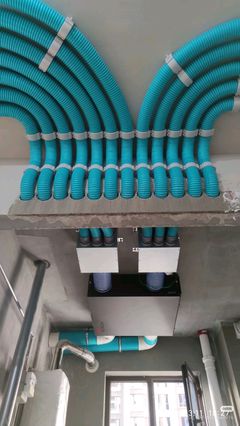 宠物服务行业废气治理 环保责任与绿色转型之路